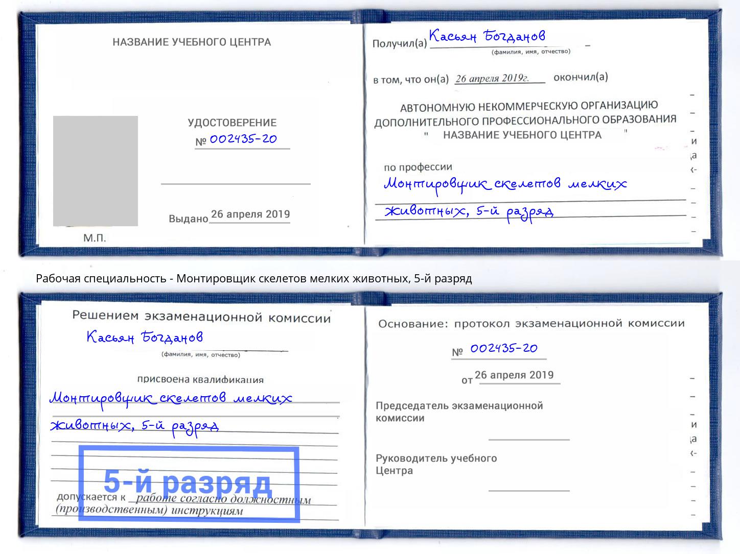 корочка 5-й разряд Монтировщик скелетов мелких животных Казань