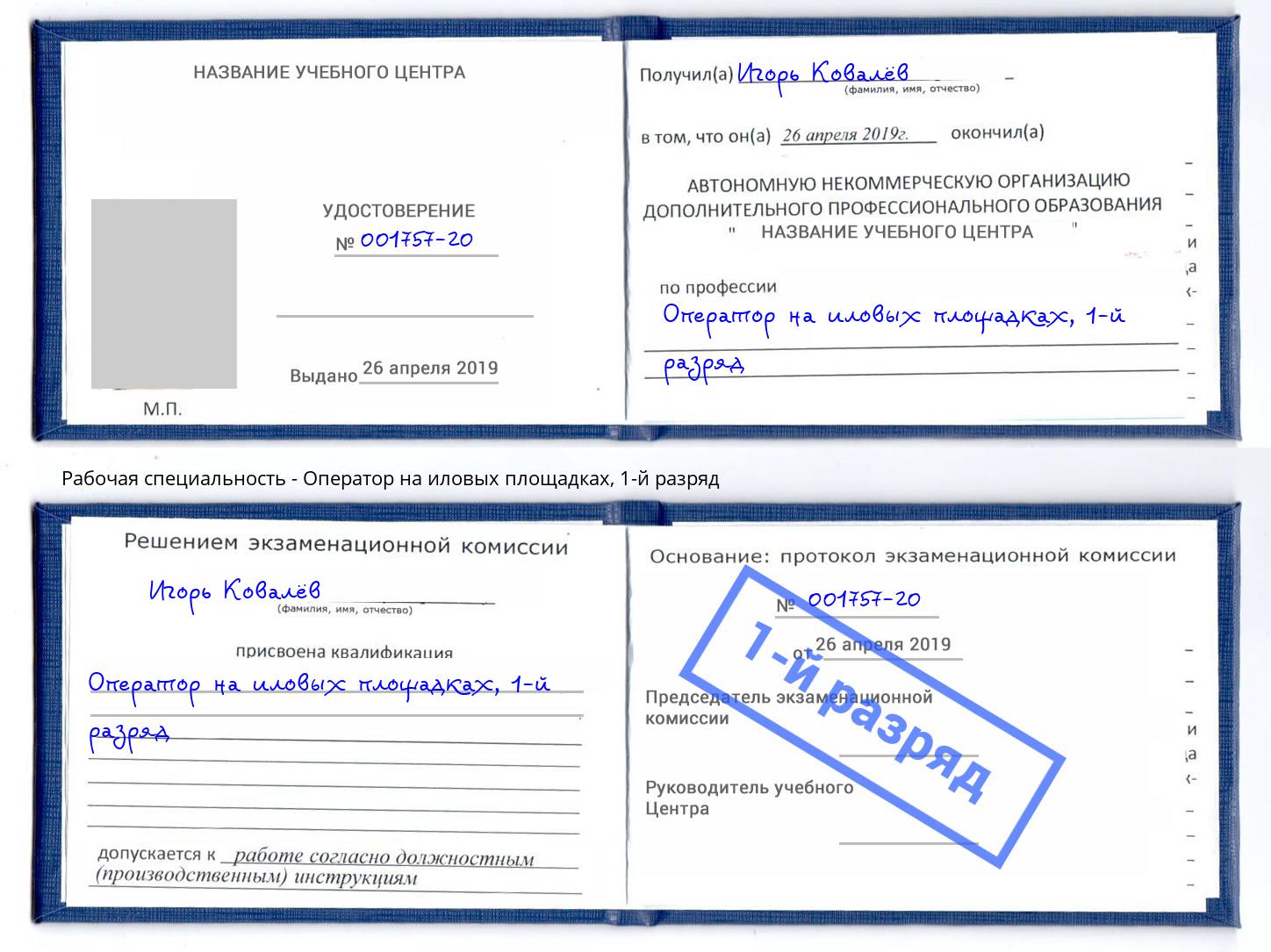 корочка 1-й разряд Оператор на иловых площадках Казань